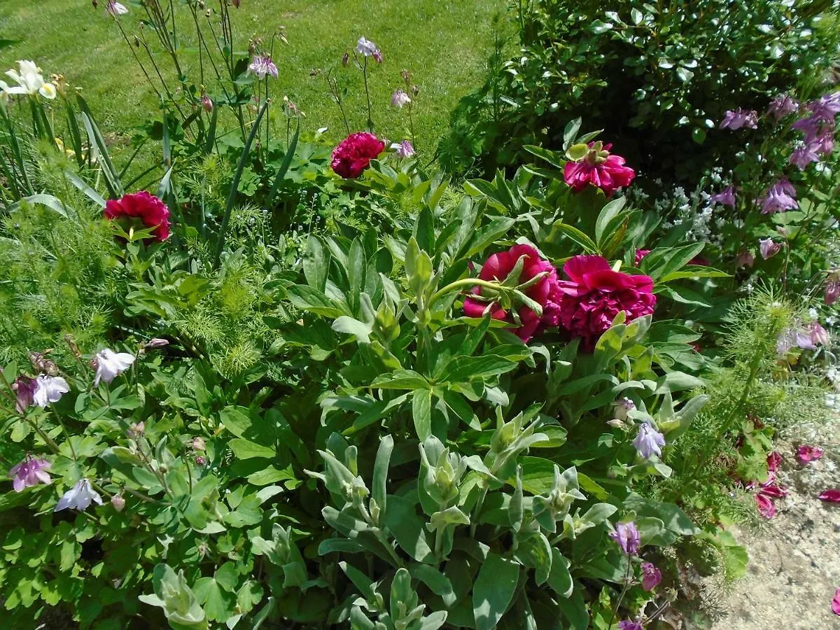 Joli Jardin Chambre d'Hotes Bélesta